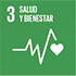 Objetivos de desarrollo sostenible - icono Salud y bienestar