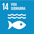 Objetivos de desarrollo sostenible - icono Vida submarina