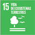 Objetivos de desarrollo sostenible - icono vida de ecosistemas terrestres